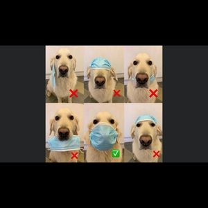 Meet your Posher, Eddie